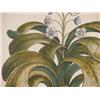 Image 4 : 2 Botanical Eng of Potted Plants
