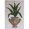 Image 5 : 2 Botanical Eng of Potted Plants