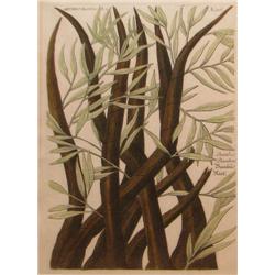 Johann Weinmann hand colored engraving Bamboo