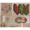 Image 2 : A Collection of Assorted Hand Colored Botanical Engravings