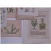 Image 5 : A Collection of Assorted Hand Colored Botanical Engravings