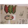 Image 7 : A Collection of Assorted Hand Colored Botanical Engravings