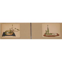 Pair of Indian Still Life Paintings