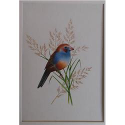 Ramesh Chandra Sharma Bird painting