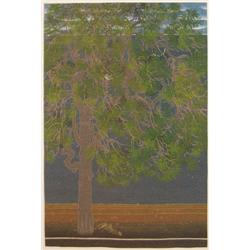 Arundhati Vartak ptg. Neem from Portraits of Indian Trees