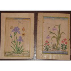 4 Studio of Mahaveer Swami Mughal Style Botanical Ptgs. 