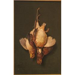 John C. Spencer Hanging Quail ptg