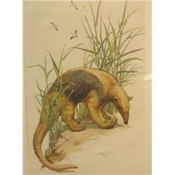Yvonne Demonte painting of Anteater or tapir
