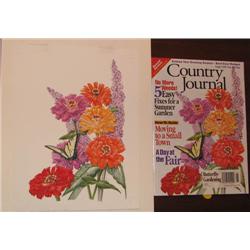 Jean Emmons w/c for Country Journal Magazine Cover