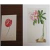 Image 8 : 2 Botanical watercolors by J.P.Irani