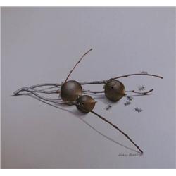 Alvaro Nunes watercolors Ants and Beetles