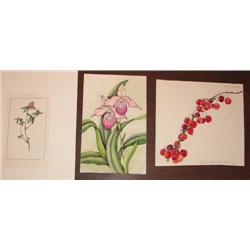 3 Botanical W/C Paintings by well known Botanical Illustrators