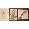 Image 1 : 3 Botanical W/C Paintings by well known Botanical Illustrators