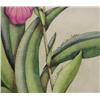 Image 9 : 3 Botanical W/C Paintings by well known Botanical Illustrators