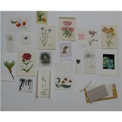 17 small botanical paintings sent as Holiday Greetings