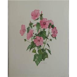 John Wilkinson watercolor "Loveliness"