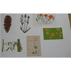 5 Henry Evans Botanical Woodcuts