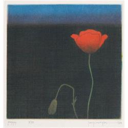 Joop Vegter Poppy color mezzotint