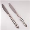 2pc Georg Jensen Sterling Silver Stainless Steel Dinner Knives, Acorn