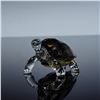 Image 1 : Swarovski Crystal Figurine, Galapagos Tortoise