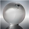 Image 4 : Frosted Crystal World Globe Paperweight