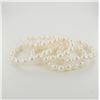 Image 1 : 5pc Freshwater Pearl Expandable Bracelets