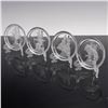 Image 2 : 12pc Val Saint Lambert Zodiac Glass Coasters