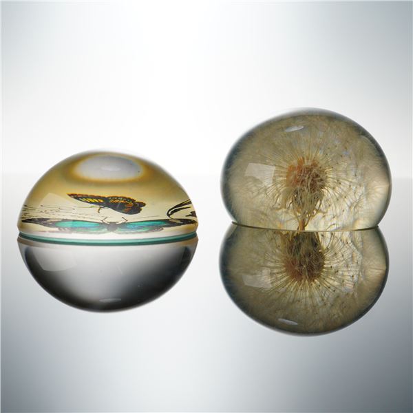 2pc Resin and Glass Paperweights, Butterfly and Dandelion