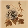 Image 3 : Trowbridge Gallery London, Framed Color Etching, Peonia, Numbered