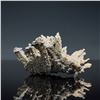 Image 6 : 2pc Mineral Specimens, Quartz Crystals w/ Pyrite & Adamite w/ Austinite
