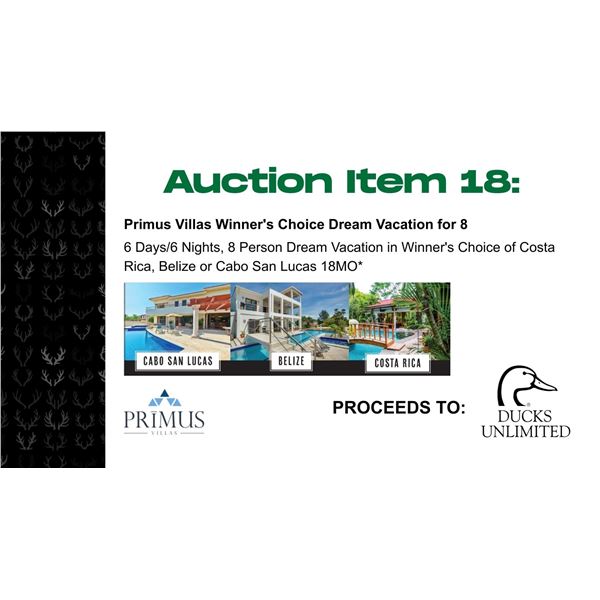 Primus Villas Winner's Choice Dream Vacation for 8