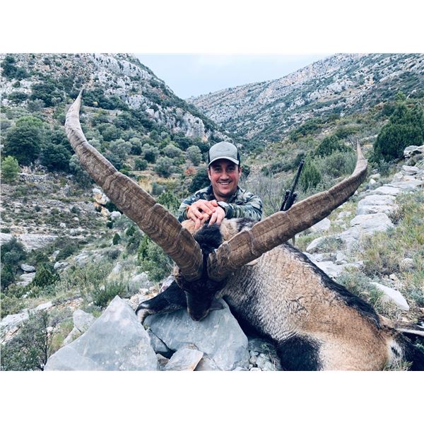 LA ESPADELLA - SPAIN: 4 DAY/3 NIGHT BECEITE IBEX HUNT FOR ONE HUNTER & ONE OBSERVER OR HUNT CREDIT