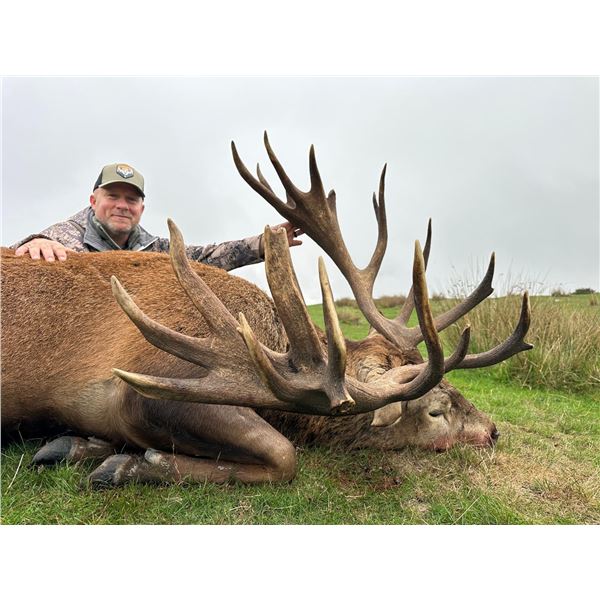 AVON VALLEY SAFARIS NEW ZEALAND GOLD MEDAL RED STAG 5 Day Hunt for 1 Hunter and 1 Non-Hunter