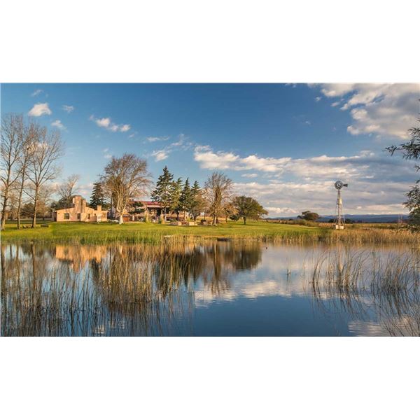 SIERRA BRAVA ARGENTINA DOVE HUNT: 3 Day Dove Hunt for 6 Hunters