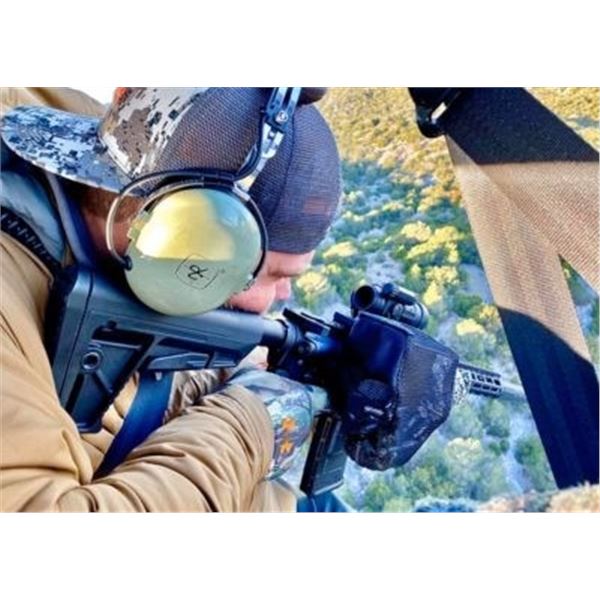 HELICOPTER PIG HUNT 2 HOURS/2 HUNTERS IN TEXAS