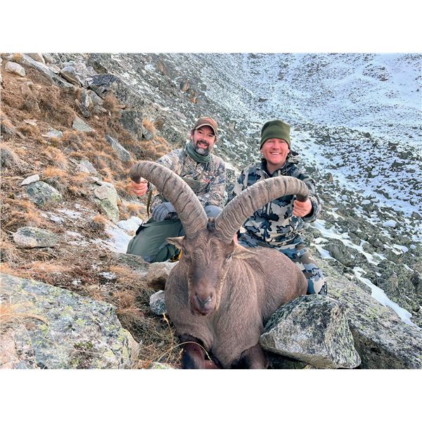 MID-CAUCASIAN TUR HUNT FOR 1 HUNTER WITH PROFIHUNT IN RUSSIA