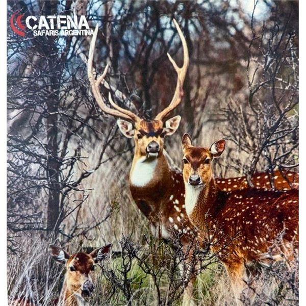 ARGENTINA MIXED BAG HUNT FOR 4 HUNTERS/ANGLERS