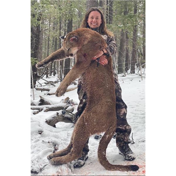 New Mexico Lion with Hounds with Chip Ortiz