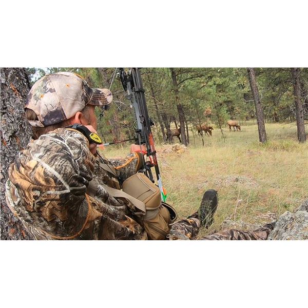 Archery Elk Drop Camp for 2 in 2026