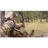 Image 1 : Archery Elk Drop Camp for 2 in 2026