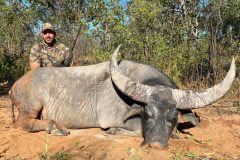 Australia Water Buffalo for 1 Hunter - Lets go to the Outback
