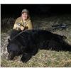 Image 1 : Idaho Black Bear in 2027 with Special Price for Youth