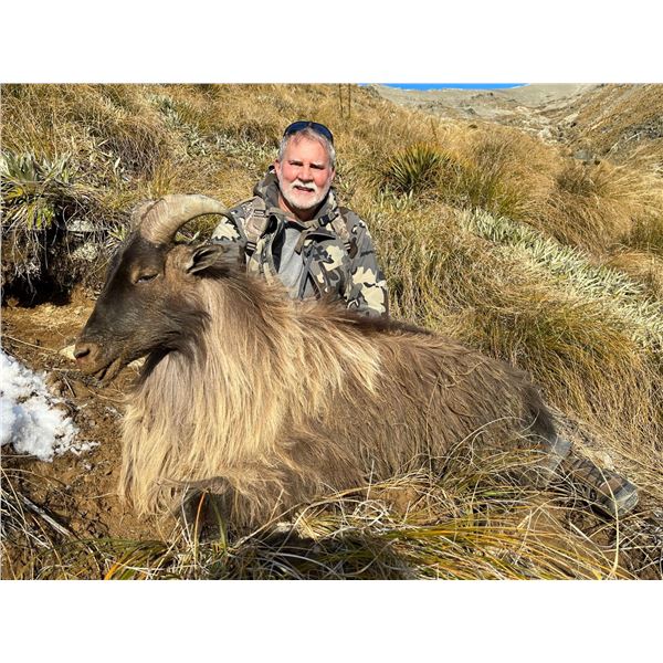 Tahr Rifle Hunt - New Zealand