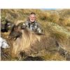 Image 1 : Tahr Rifle Hunt - New Zealand