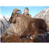 Image 5 : Tahr Rifle Hunt - New Zealand