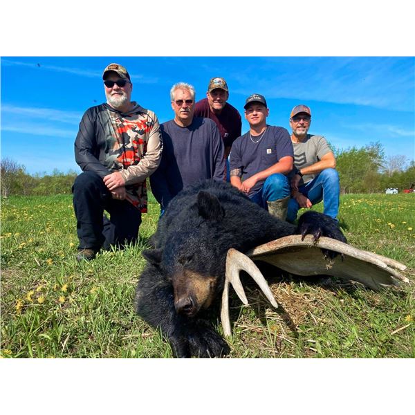 Black Bear Hunt - Ontario