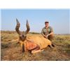 Image 9 : Plains Game Hunt - South Africa