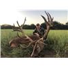 Image 1 : Red Stag & Black Buck Hunt - Argentina