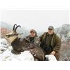 Image 1 : Chamois - Serbia