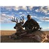 Image 6 : Archery Whitetail Hunt - South Dakota